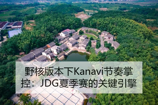 野核版本下Kanavi节奏掌控:JDG夏季赛的关键引擎