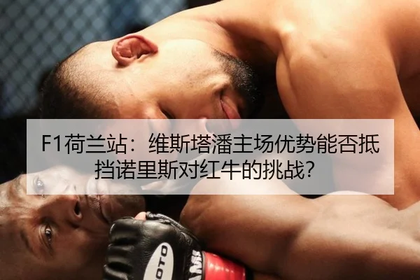 he-lan-zhan-wei-si-ta-pan-zhu-chang-you-shi-neng-fou-di-dang-nuo-li-si-dui-hong-niu-de-tiao-zhan-3-699.jpg